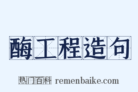 酶工程造句是什么意思的图片
